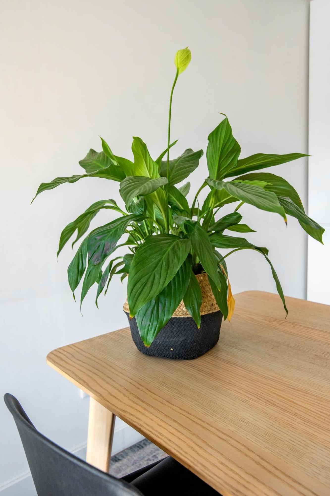 Bright Apartment In Lizbona Zewnętrze zdjęcie